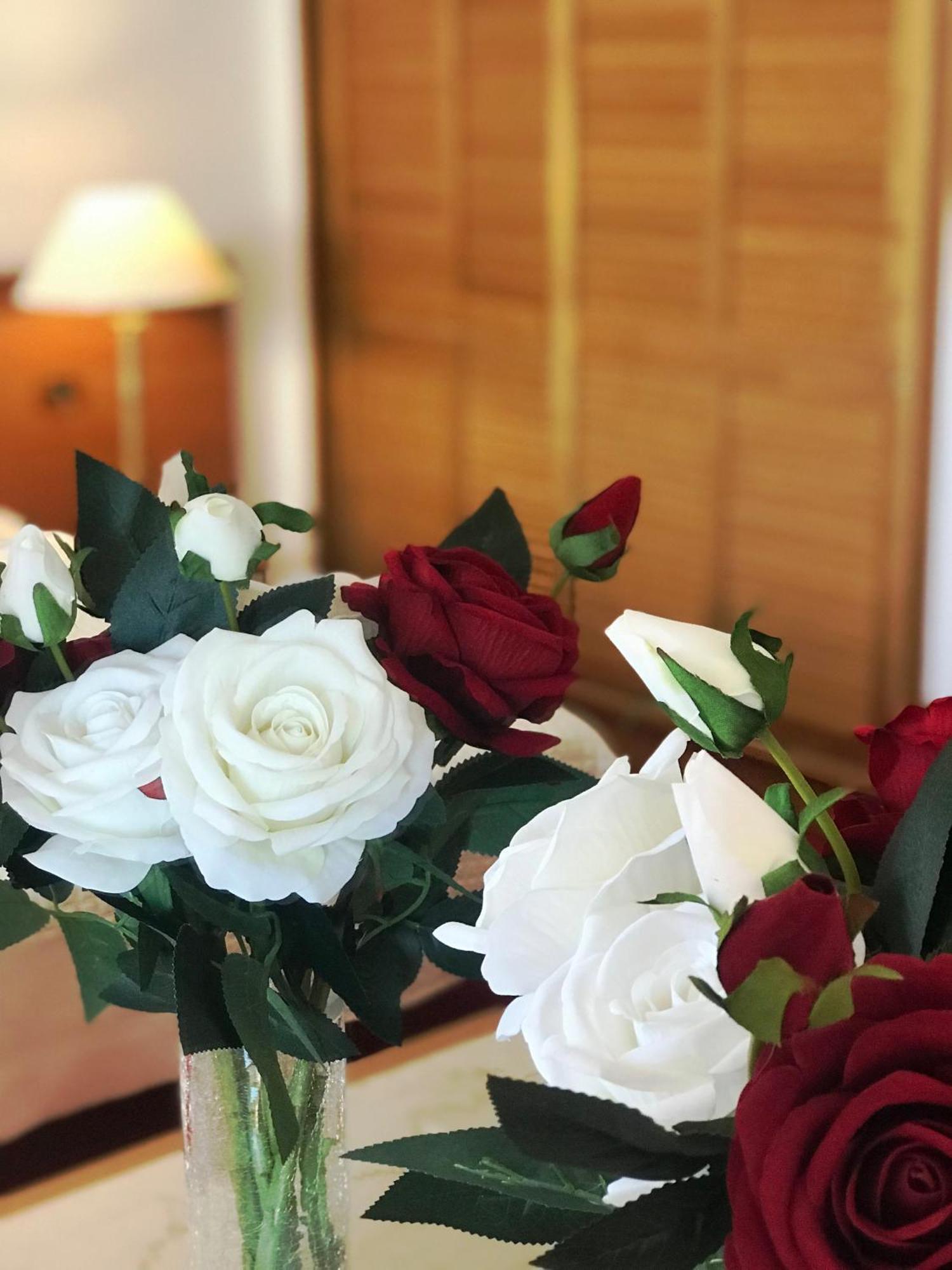Chateau Linza Resort تيرانا المظهر الخارجي الصورة