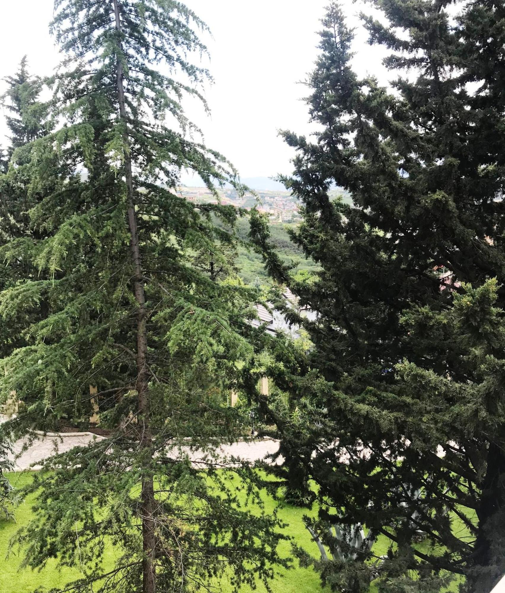 Chateau Linza Resort تيرانا المظهر الخارجي الصورة