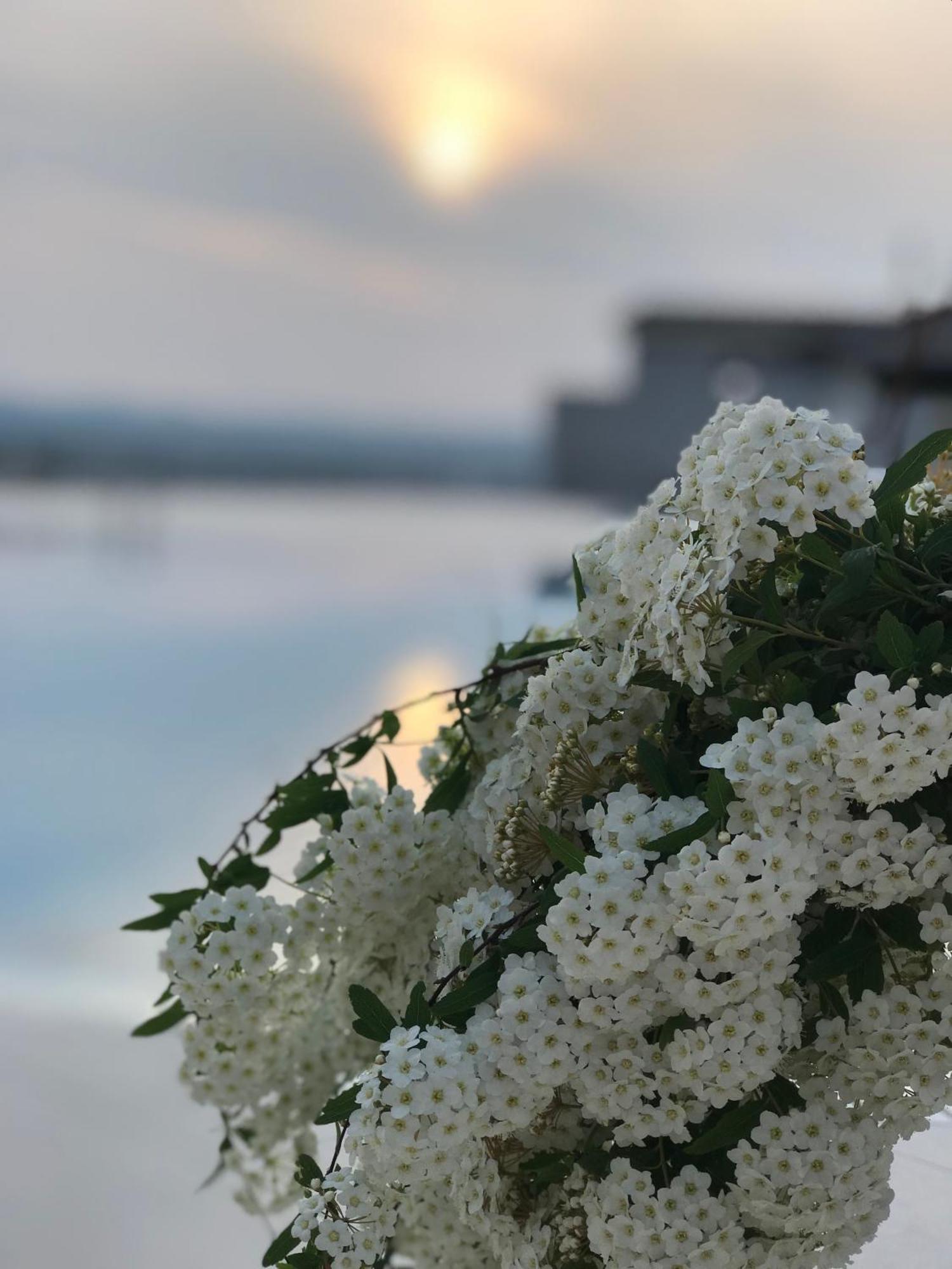 Chateau Linza Resort تيرانا المظهر الخارجي الصورة
